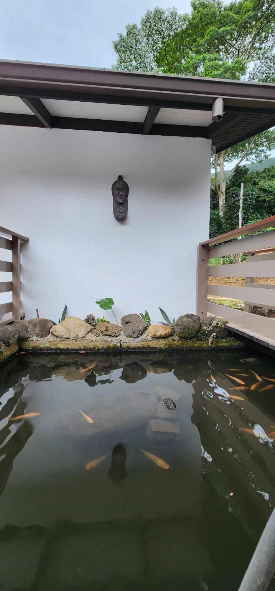 Appartements Au Coeur De Maharepa Maharepa  Exterior foto